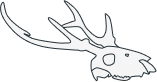 Skull decoration