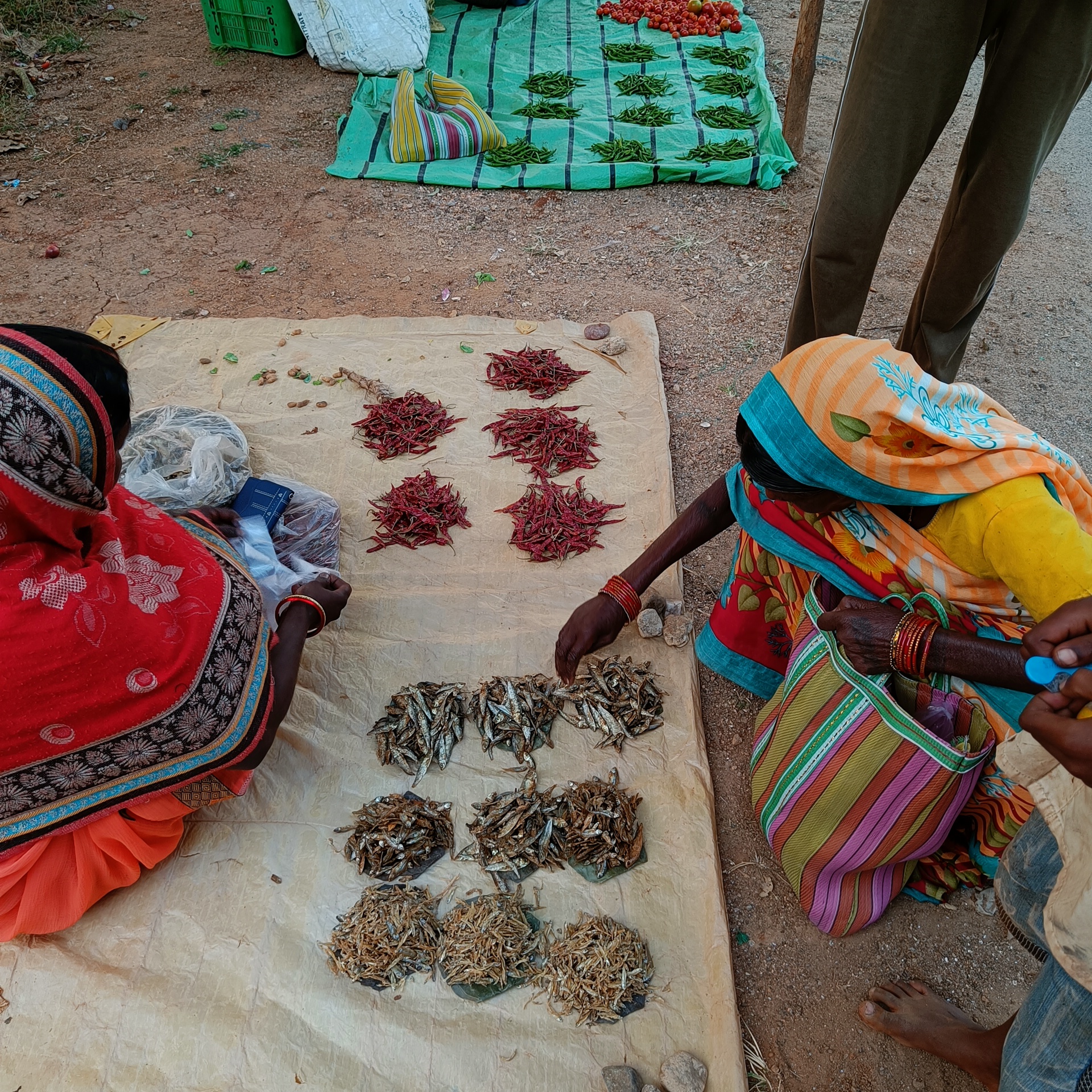 Food Systems Transition